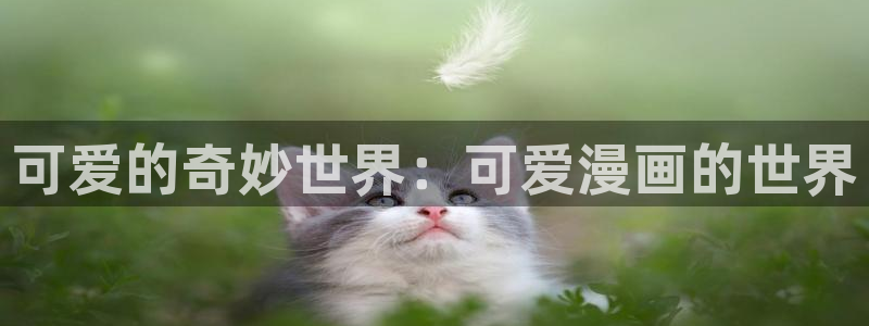 禁漫天堂下载地址