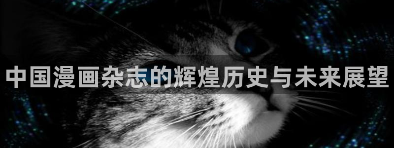 如何加速禁漫天堂