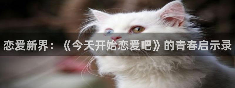 网站禁漫天堂